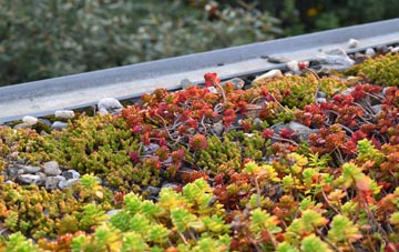 the cost of Hughton green roof installation