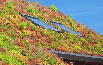 Hughton living roof systems