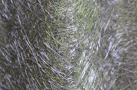 Hughton fibreglass roof work